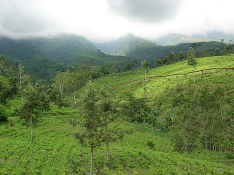 14057384091882348607