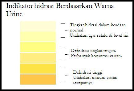 Pedulikah Anda dengan Urine Anda Kompasiana com Pedulikah Anda dengan Urine Anda Kompasiana com