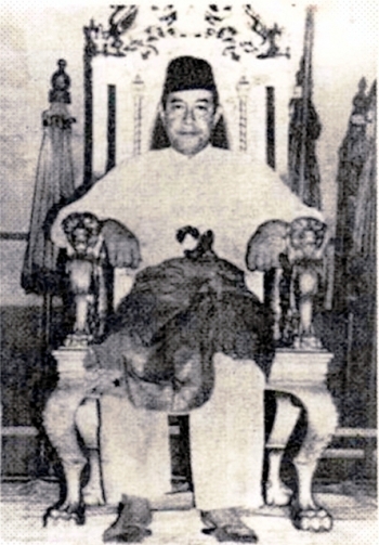 200 Gambar Elang Raja Wali 200 Gambar Elang Raja Wali