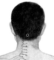 Titik Pijat untuk Masuk Angin oleh Radex Nugraho  Titik Pijat untuk Masuk Angin oleh Radex Nugraho