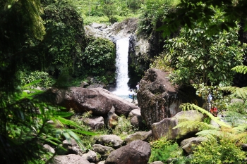 Menikmati Kesegaran Curug Bayan Kalipagu Baturraden Halaman Menikmati Kesegaran Curug Bayan Kalipagu Baturraden Halaman