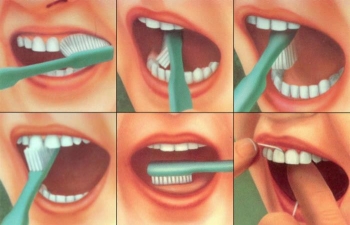  Gambar  Cara Menyikat  Gigi  Yang Benar AR Production