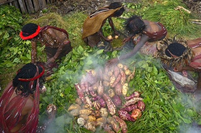 Mengenalkan Budaya Papua : Pesta Bakar Batu oleh Mak Meser 