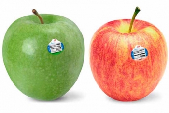 87+ Gambar Apel Granny Smith Kekinian 87+ Gambar Apel Granny Smith Kekinian