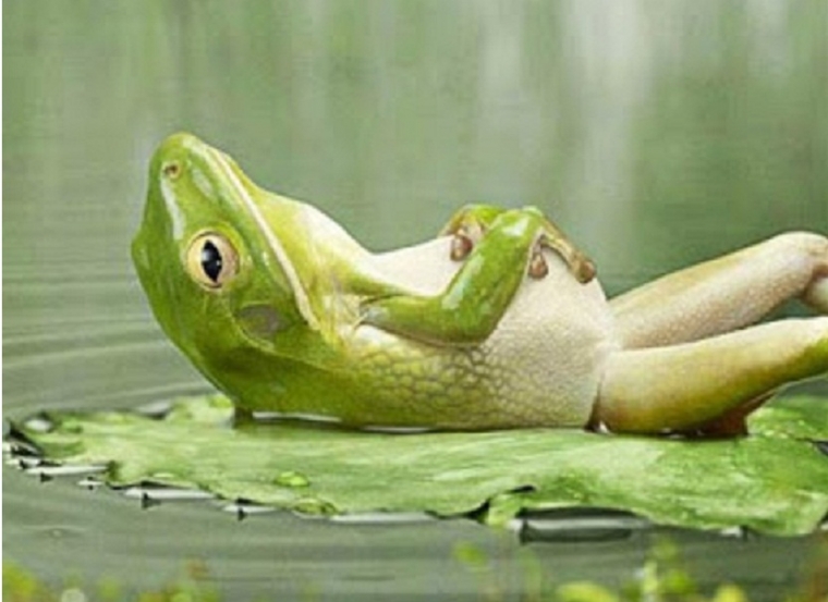 Пофигистское отношение к эпидемии коронавируса Пофигистское отношение к эпидемии коронавируса