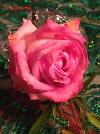 Fantastis 15 Gambar Bunga Mawar Menusuk Tangan Koleksi Fantastis 15 Gambar Bunga Mawar Menusuk Tangan Koleksi