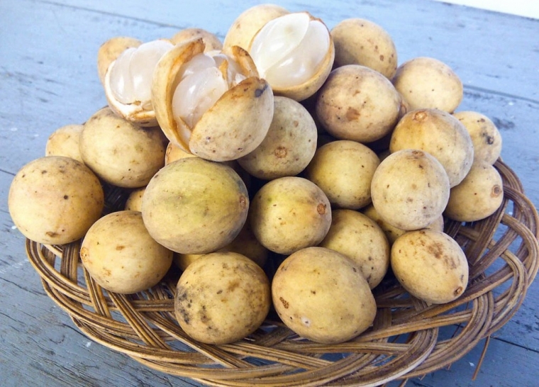 Manisnya Buah Duku dari Purbalingga Kompasiana com Manisnya Buah Duku dari Purbalingga Kompasiana com