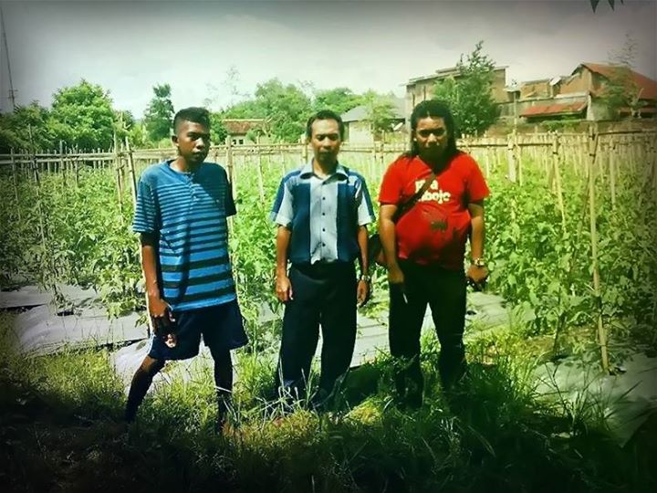 BUDIDAYA TANAMAN HORTIKULTURA Halaman 1 Kompasiana com BUDIDAYA TANAMAN HORTIKULTURA Halaman 1 Kompasiana com