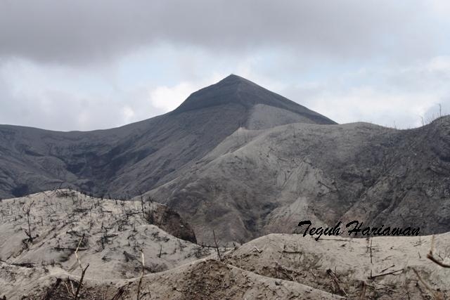 Foto Eksklusif Gunung Kelud Pasca Erupsi 2014 oleh Teguh Foto Eksklusif Gunung Kelud Pasca Erupsi 2014 oleh Teguh