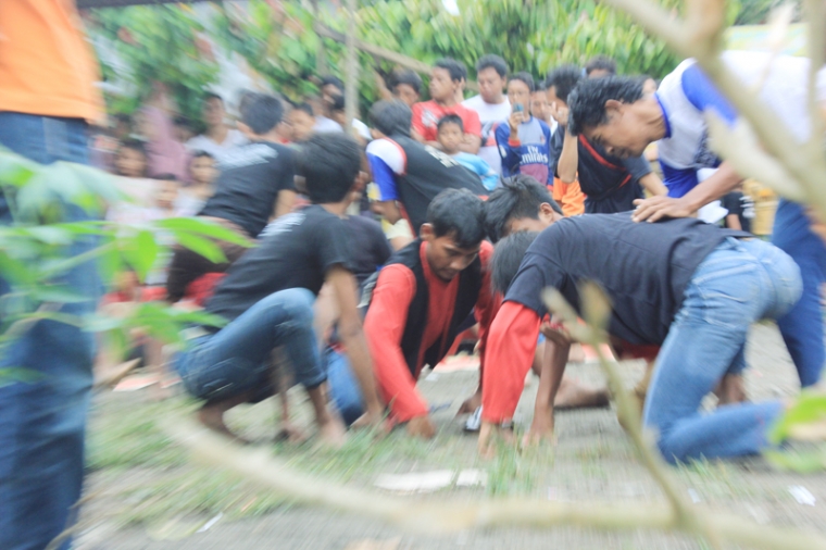 Gambar Jaran Kepang Gambar Jaran Kepang